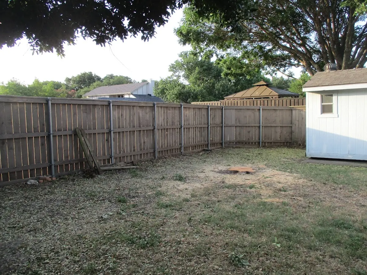 Cleared yard after professional tree removal in Guilford